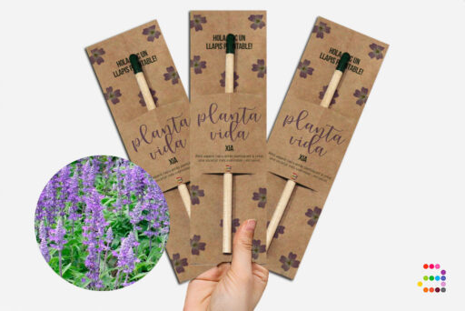 Llapis plantable de llavors de xia