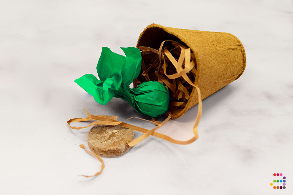 Maceta con semillas ¡SORPRESA! - Imagen 5