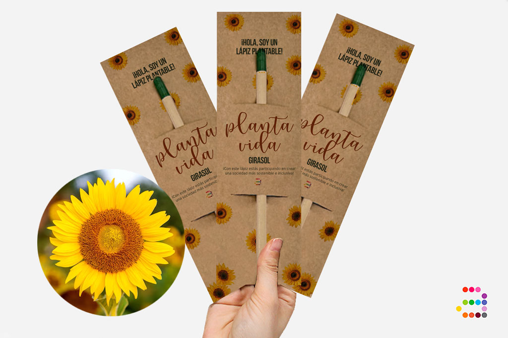 Lápiz plantable de semillas de Girasol