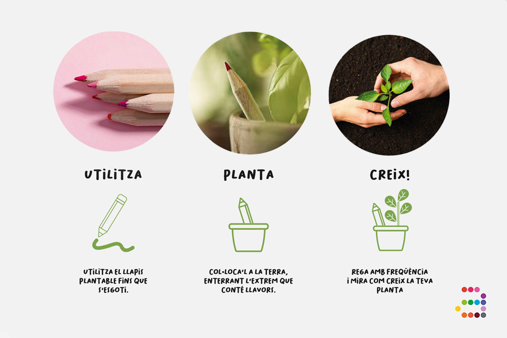 Lápiz plantable de semillas de Chía - Imagen 4