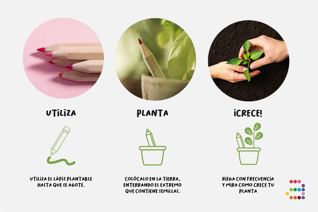 Lápiz plantable de semillas de Chía - Imagen 5