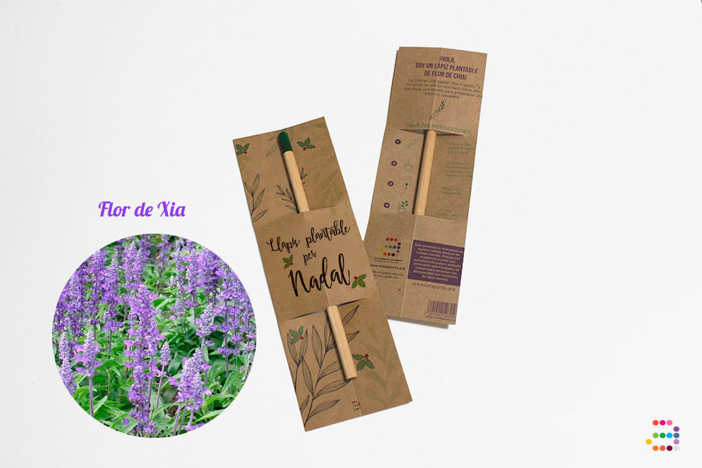 Kit Libro Recetas para Navidad + Lápiz plantable - Imagen 3