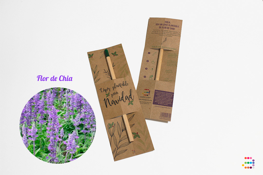 Kit Libro Recetas para Navidad + Lápiz plantable - Imagen 4