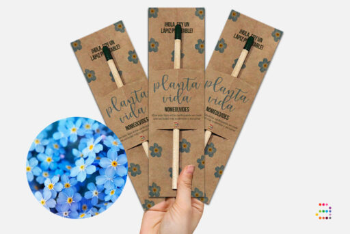 Llapis plantable de llavors de miosotis