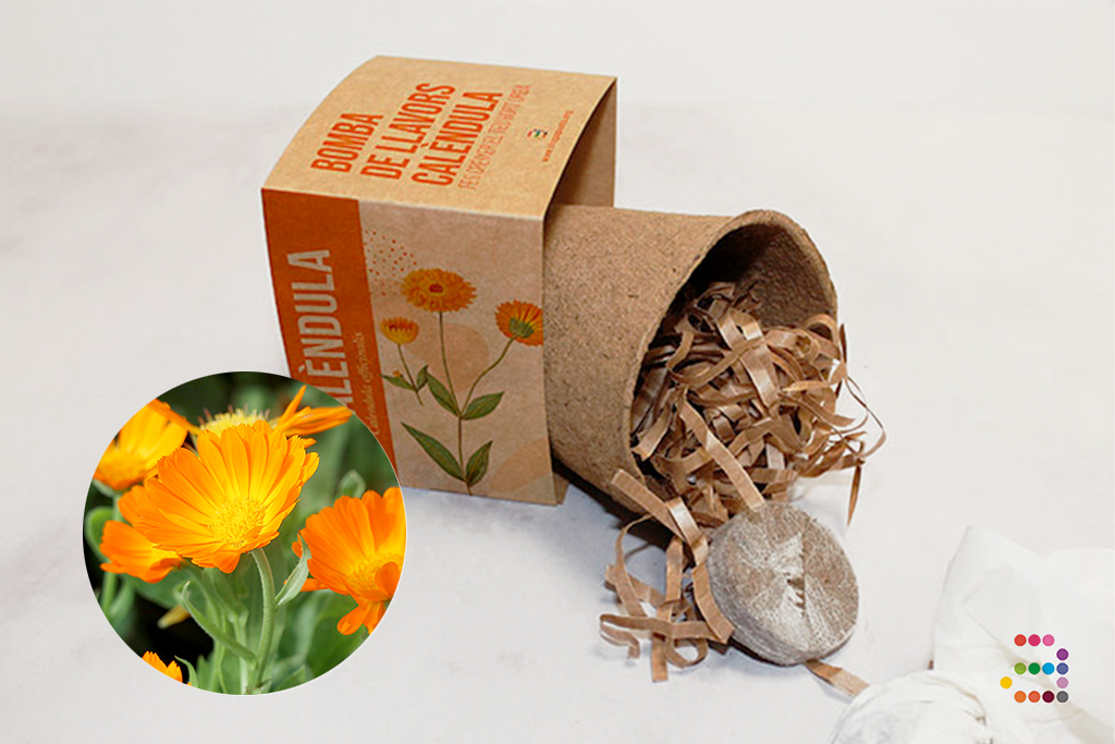 KIT Libro para recetas y semillas de Caléndula en cesta de mimbre - Imagen 7
