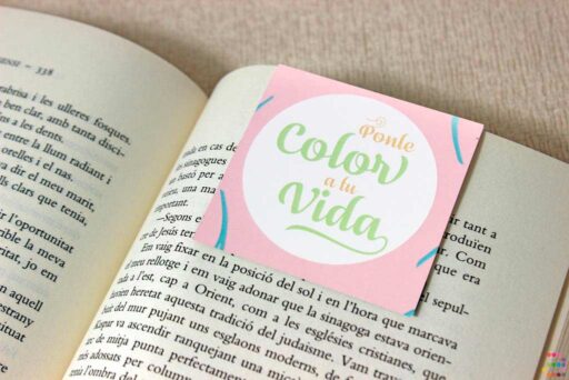 Punt de llibre amb imant Mandala