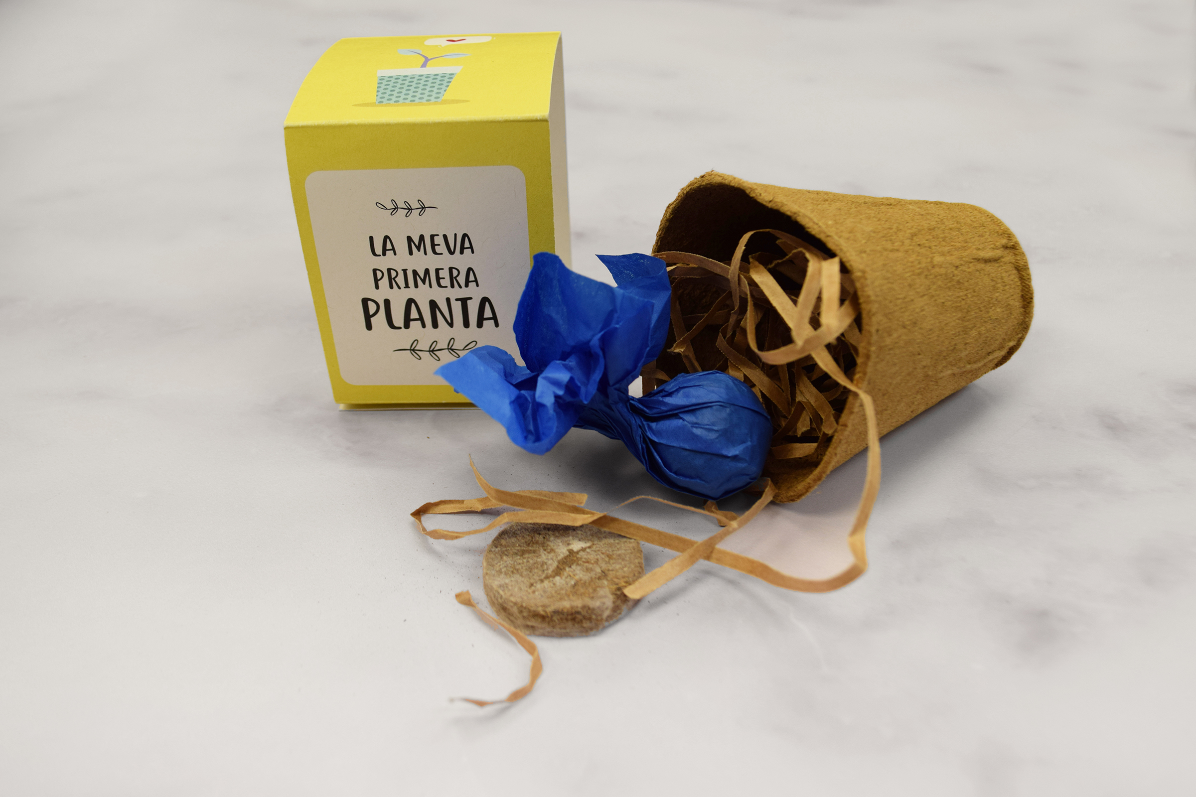Kit My Primera Planta - Imagen 6