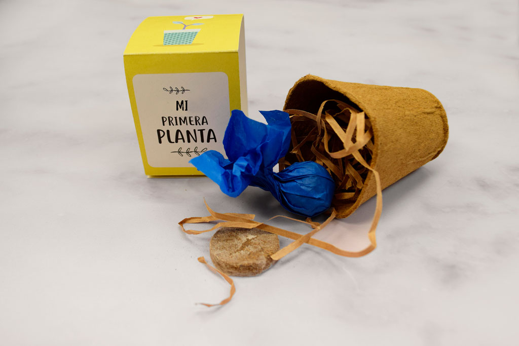 Kit My Primera Planta - Imagen 9
